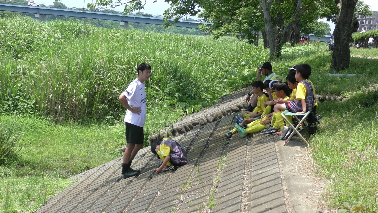 武蔵野ジュニア大会