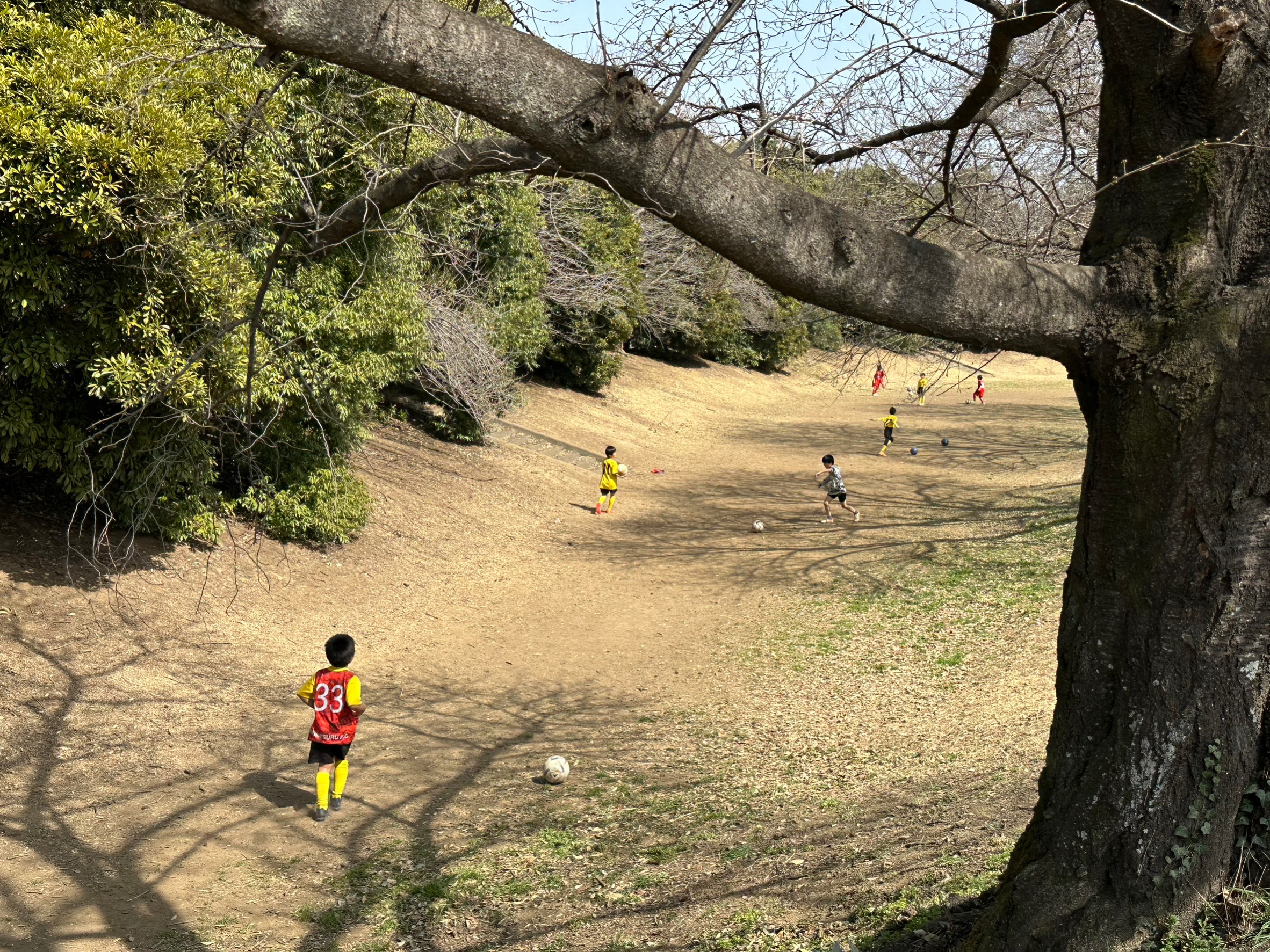 第16回川越ライオンズクラブ杯