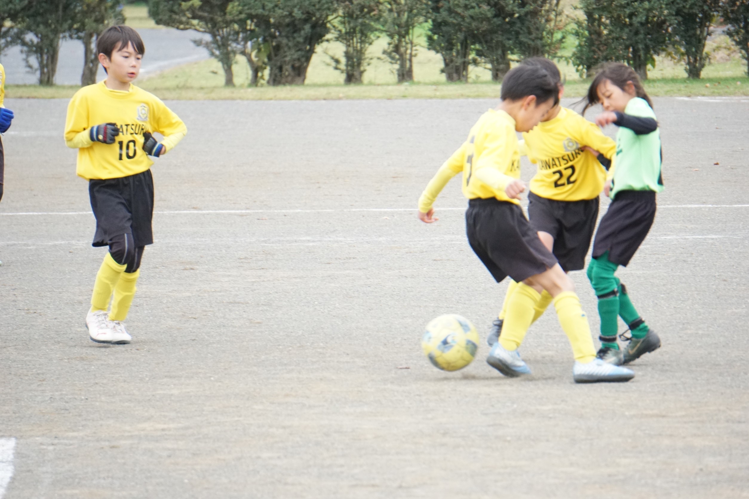 武蔵野ジュニア大会