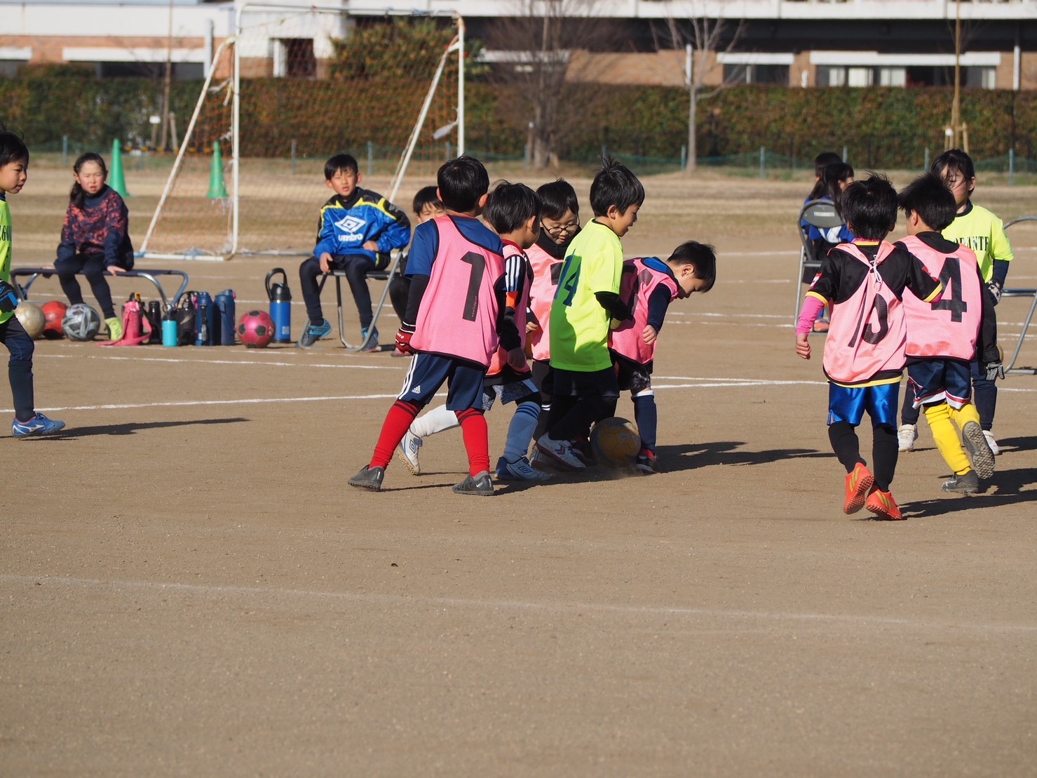 勝瀬ふじみ野杯